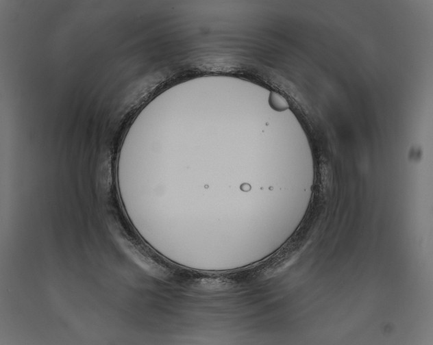 X0000092320541200710121524