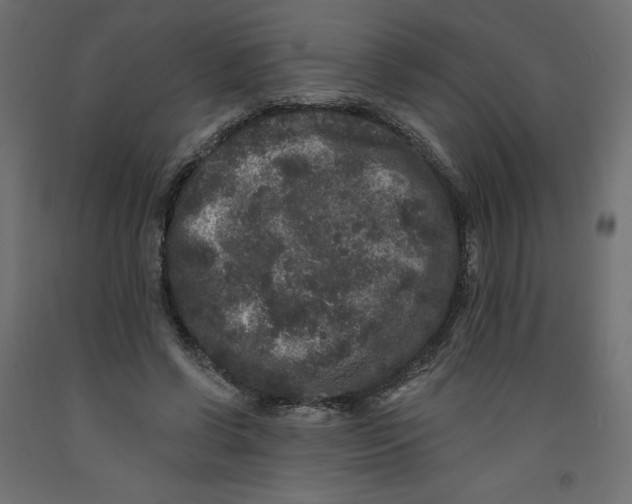 X0000092320542200710121524