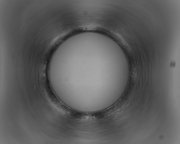 X0000092320543200710121524