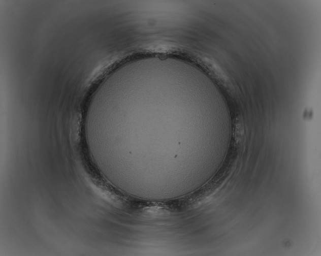 X0000092320544200710121524