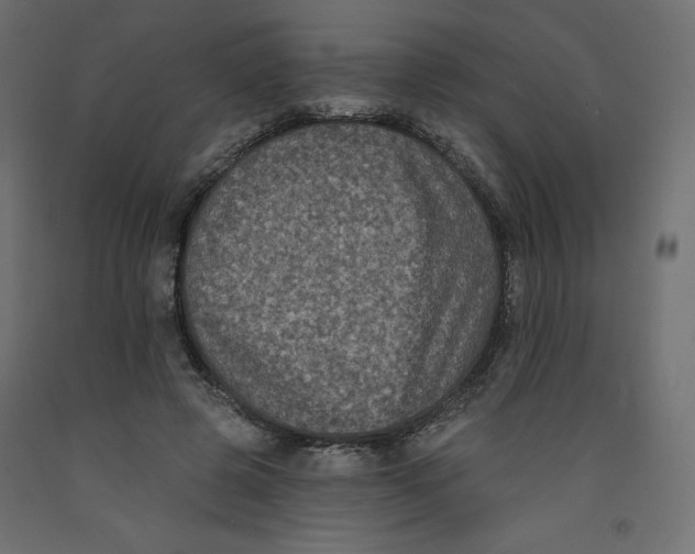 X0000092320545200710121524