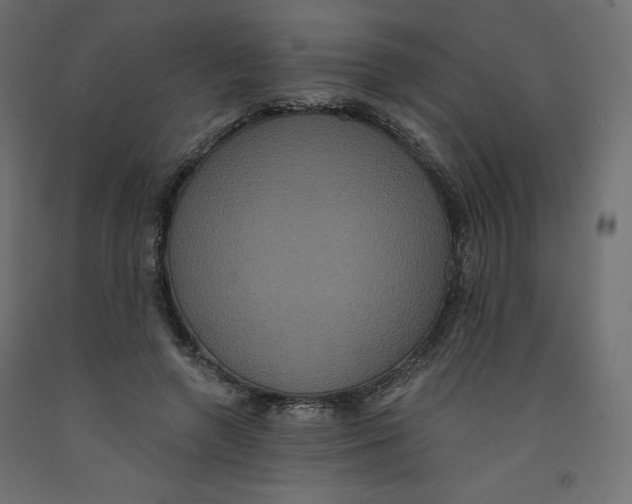 X0000092320546200710121524
