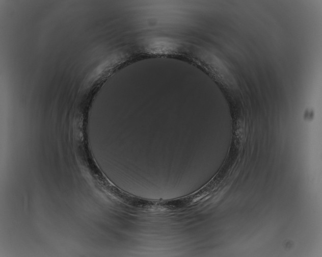 X0000092320547200710121524