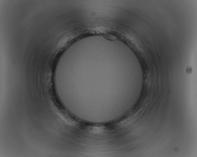 X0000092320548200710121524