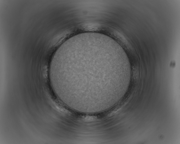 X0000092320549200710121524