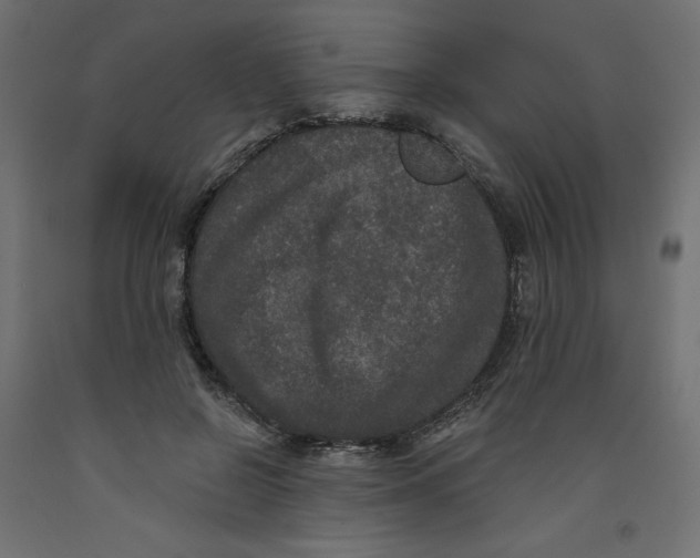 X0000092320550200710121524
