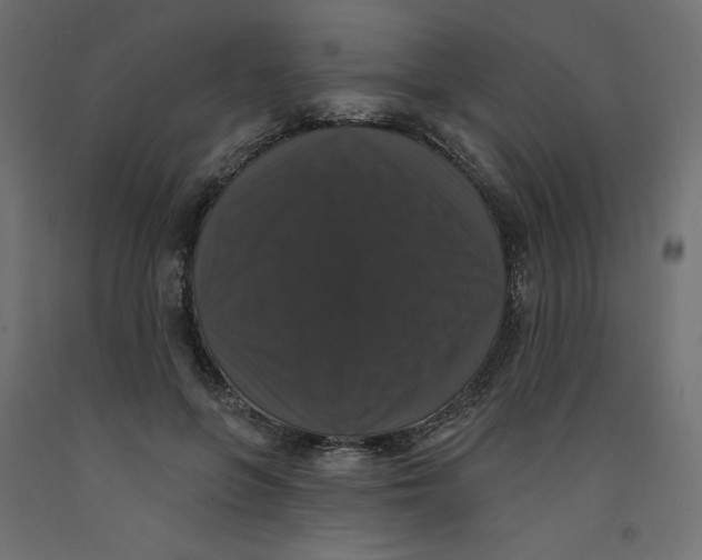 X0000092320551200710121524