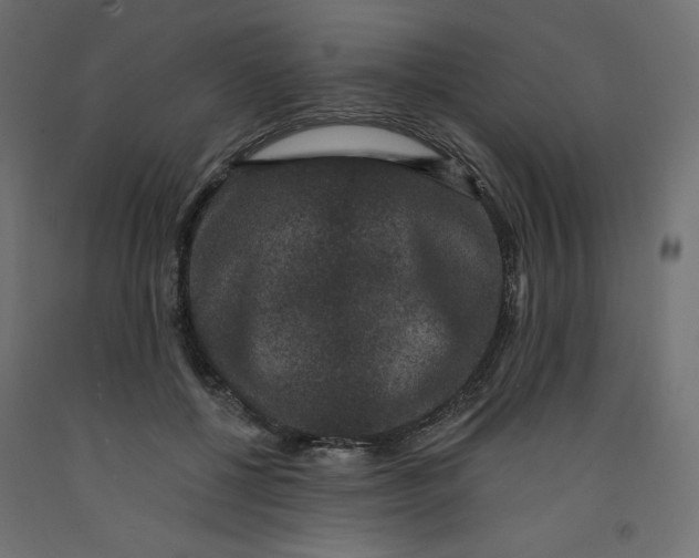 X0000092320552200710121524