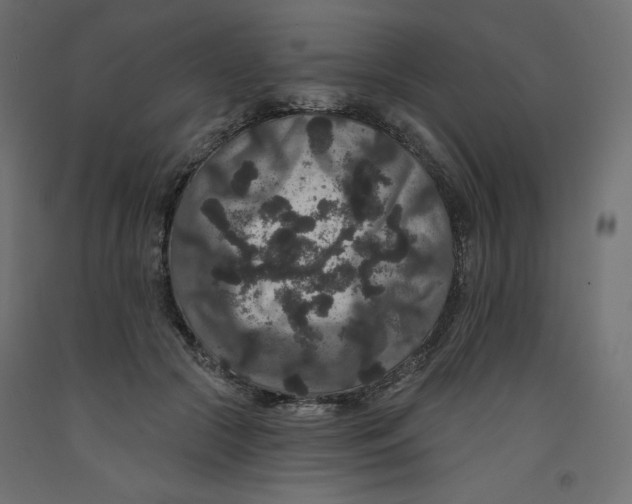 X0000092320553200710121524