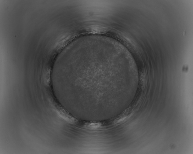 X0000092320554200710121524