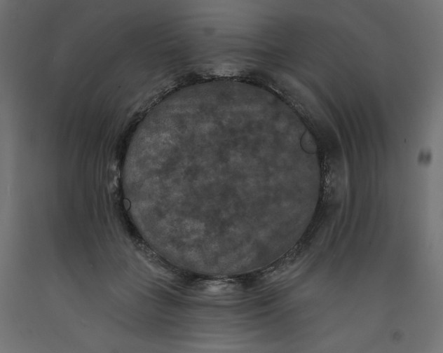 X0000092320555200710121524