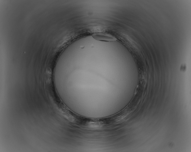 X0000092320556200710121524