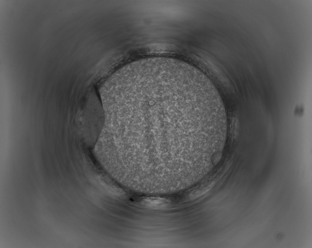 X0000092320557200710121524