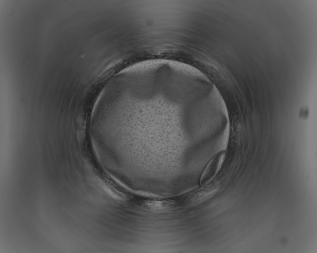X0000092320558200710121524