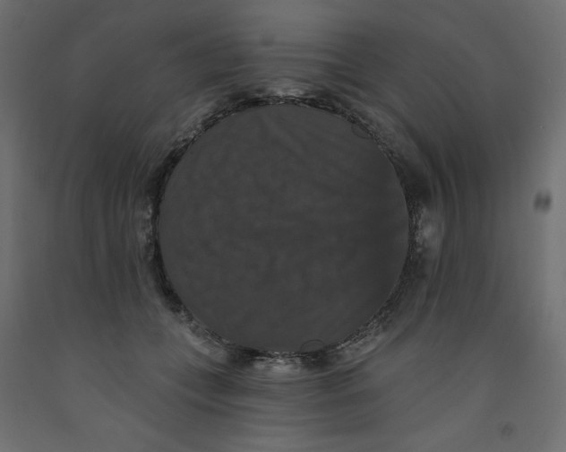 X0000092320559200710121524