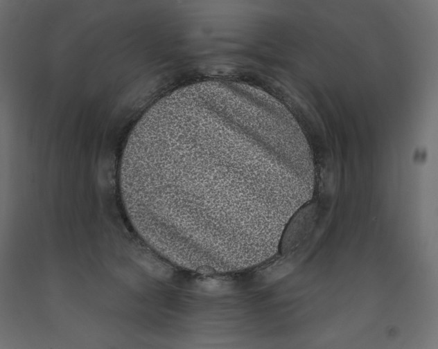 X0000092320561200710121524