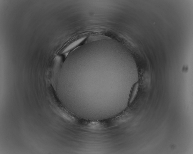 X0000092320562200710121524