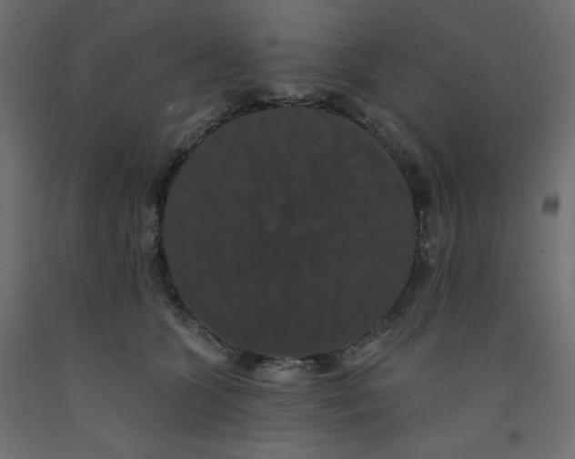 X0000092320563200710121524