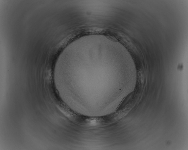X0000092320564200710121524