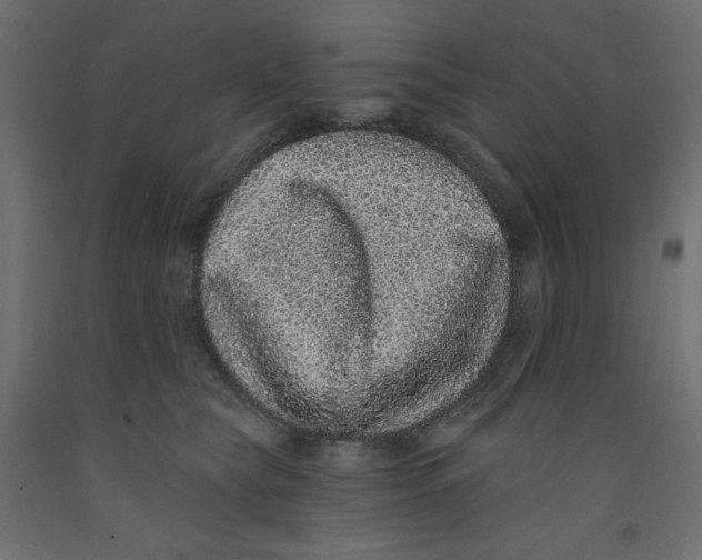 X0000092320565200710121525