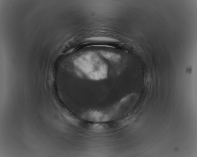 X0000092320566200710121525