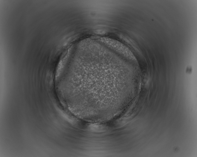 X0000092320568200710121525