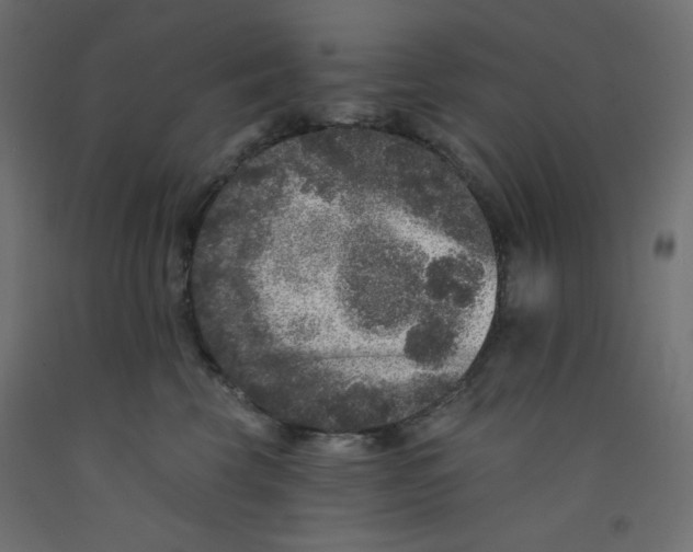 X0000092320569200710121525