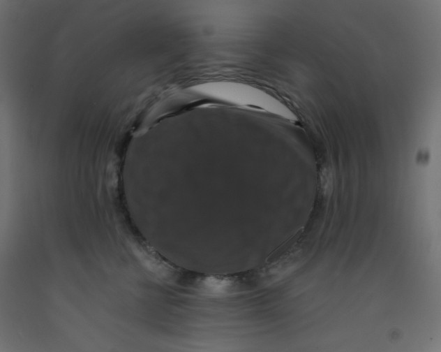 X0000092320570200710121525