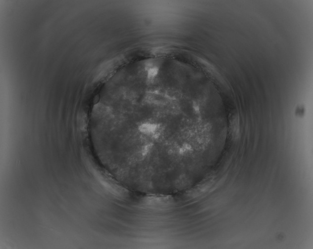 X0000092320571200710121525