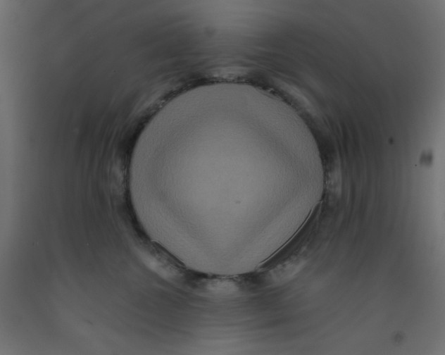 X0000092320572200710121525