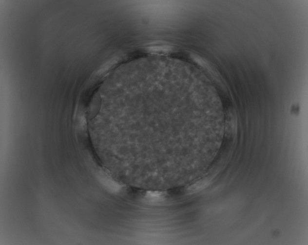 X0000092320573200710121525