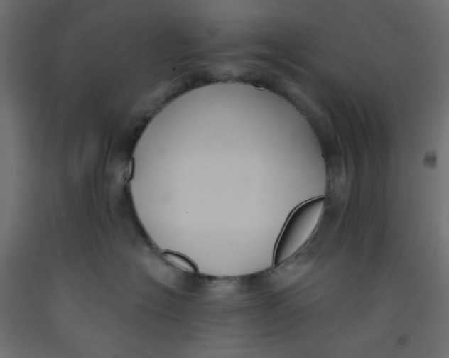 X0000092320574200710121525