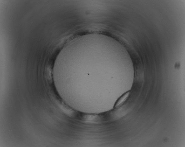 X0000092320575200710121525