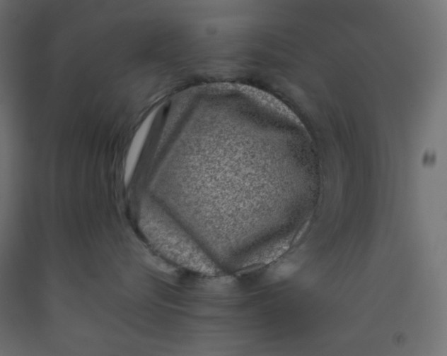 X0000092320576200710121525