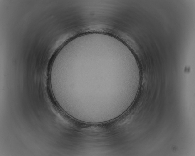 X0000092320578200710121524