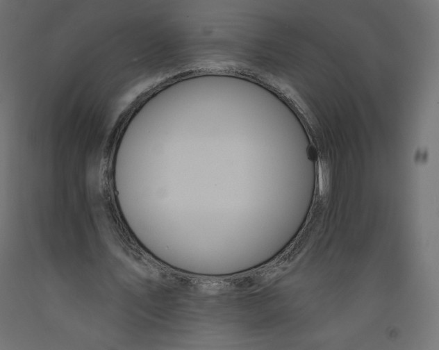 X0000092320579200710121524