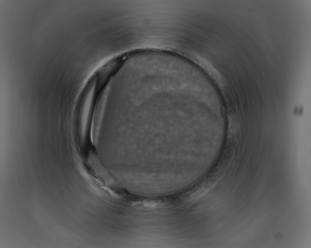 X0000092320580200710121524