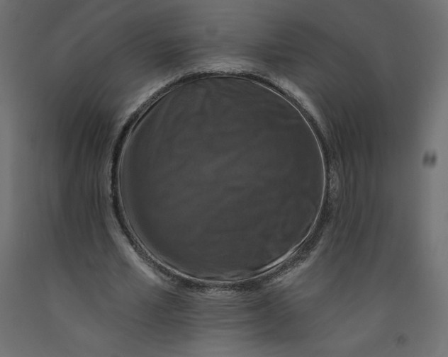 X0000092320581200710121524
