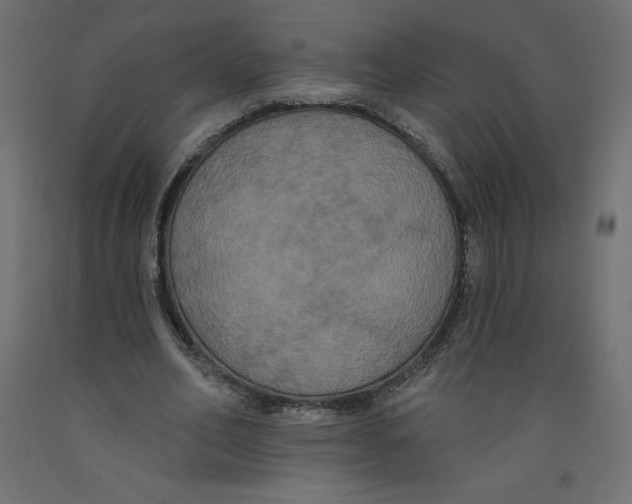 X0000092320582200710121524