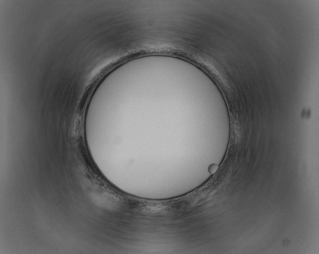 X0000092320583200710121524