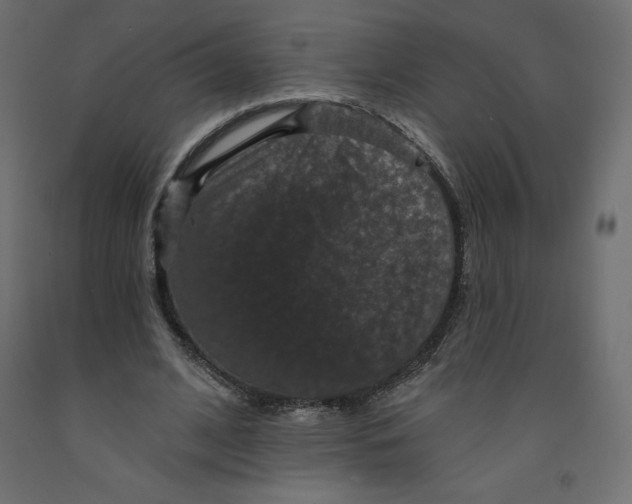 X0000092320584200710121524