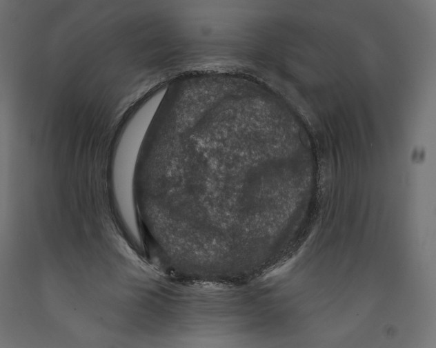 X0000092320585200710121524