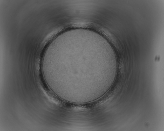 X0000092320586200710121524