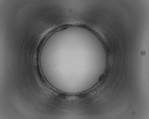 X0000092320587200710121524