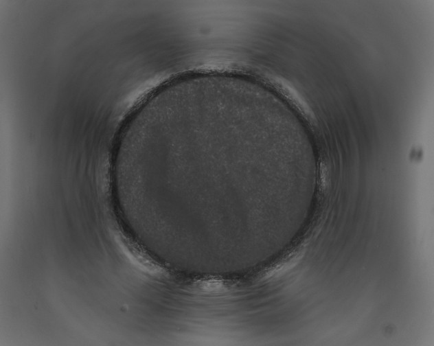 X0000092320588200710121524