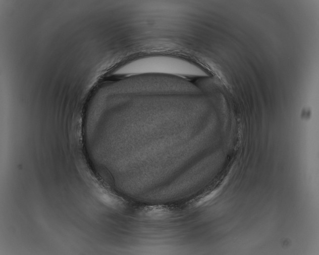X0000092320589200710121524