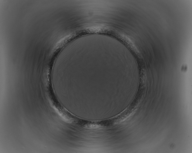 X0000092320590200710121524