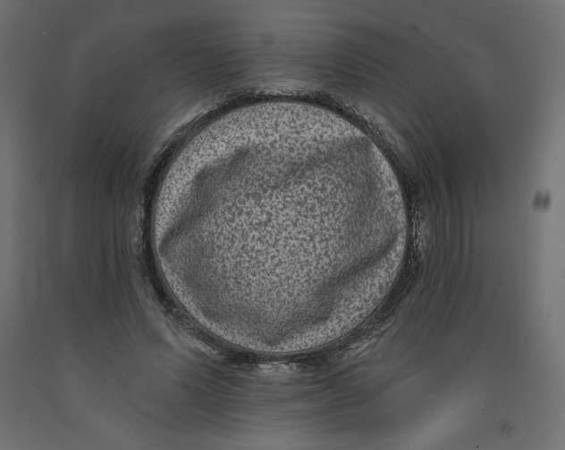 X0000092320591200710121524