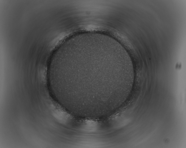 X0000092320592200710121524