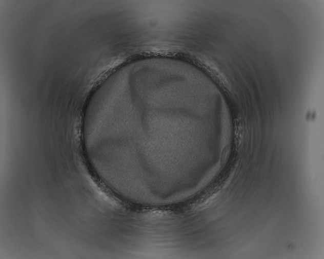 X0000092320593200710121524